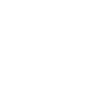 Icon of globe